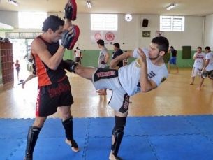 Notícia Relacionada