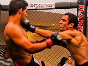 Notícia Relacionada