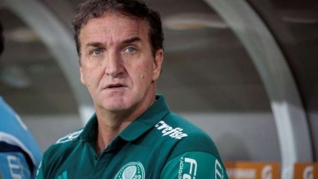 Notícia Relacionada