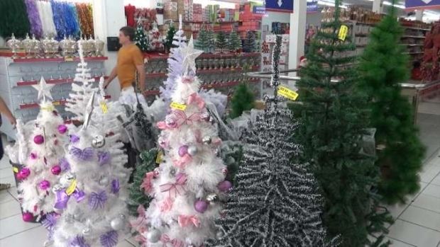 Montagem da árvore de Natal é dinheiro extra para decoradores em Cascavel