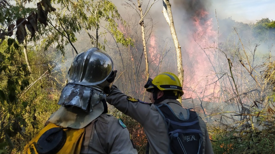 Incêndio de grandes proporções atinge reserva ambiental, em