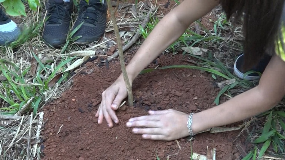 Imagem de Capa