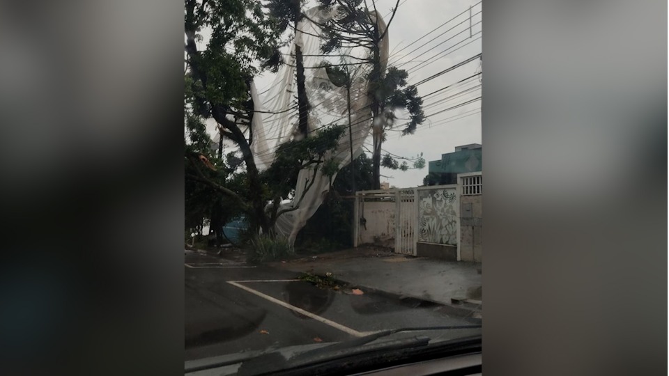 Postes caem durante temporal na BR 277, região do Trevo da Portal