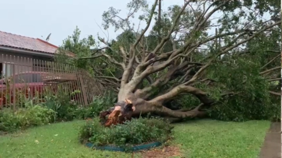 Imagens mostram danos causados por temporal em Cascavel