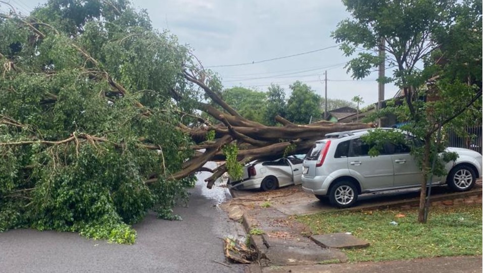 Postes caem durante temporal na BR 277, região do Trevo da Portal