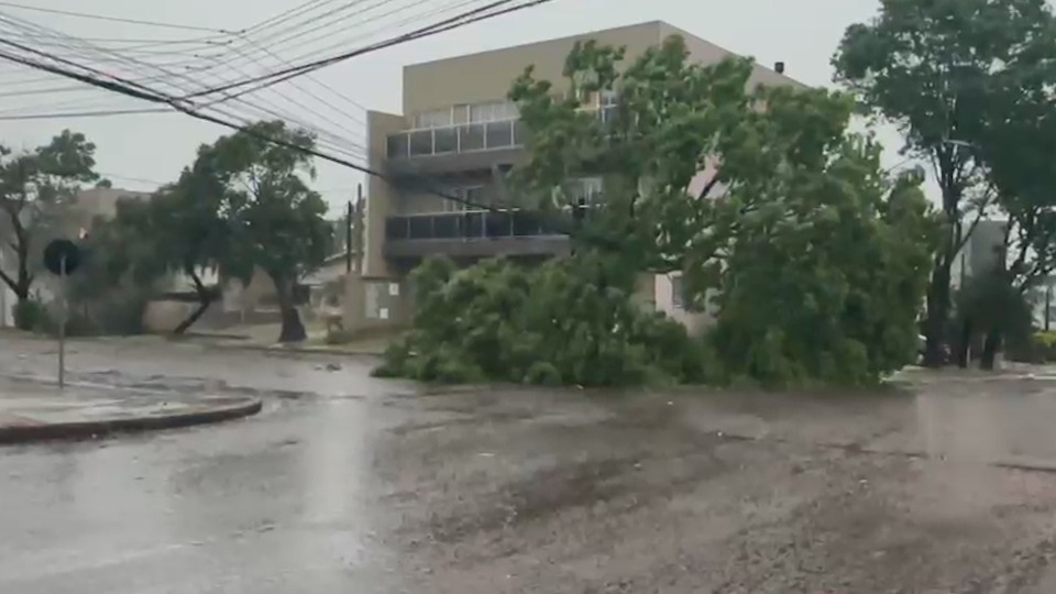 Temporal causa destruição no Exército e barracão da antiga Sanbra desaba