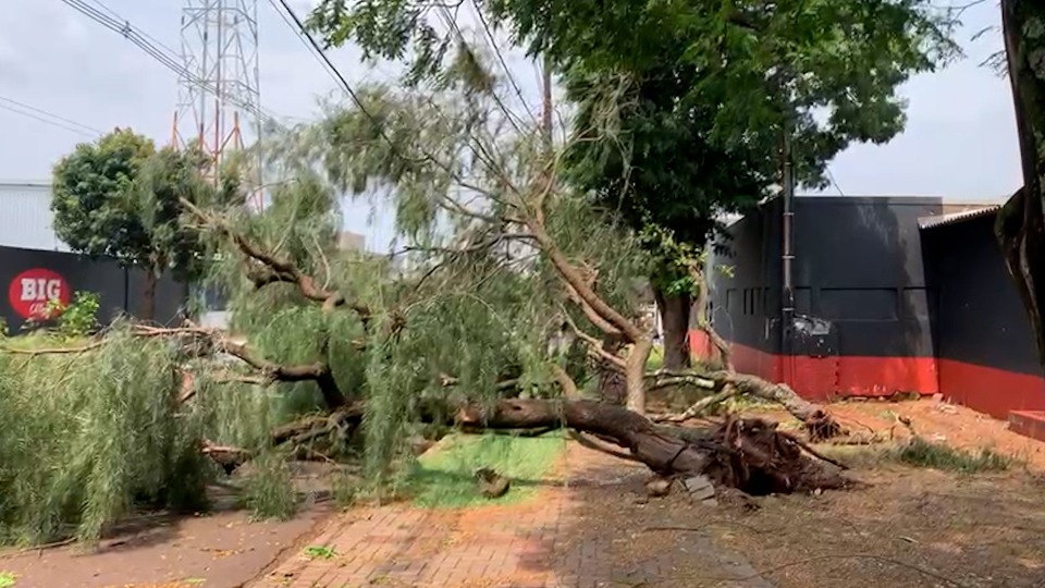 Saiba como estão os atendimentos da Prefeitura de Cascavel após o tornado