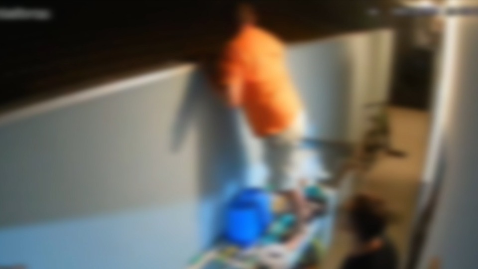 Notícia Relacionada