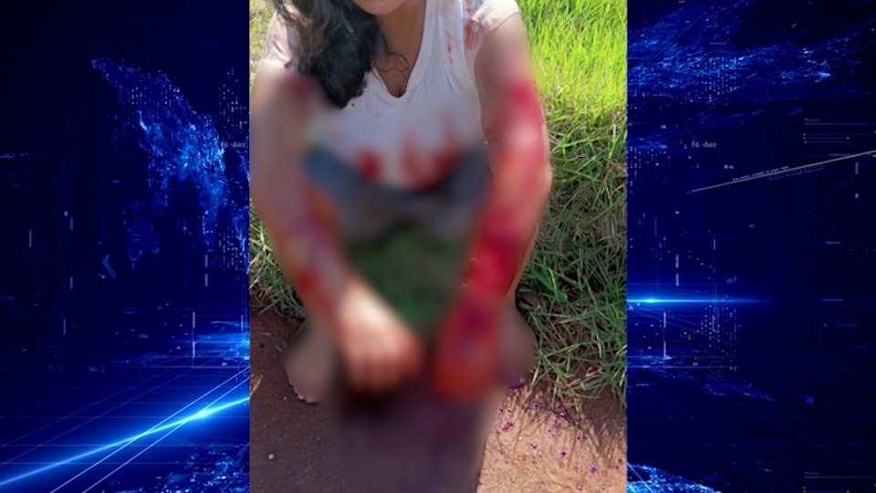 Imagem da Galeria