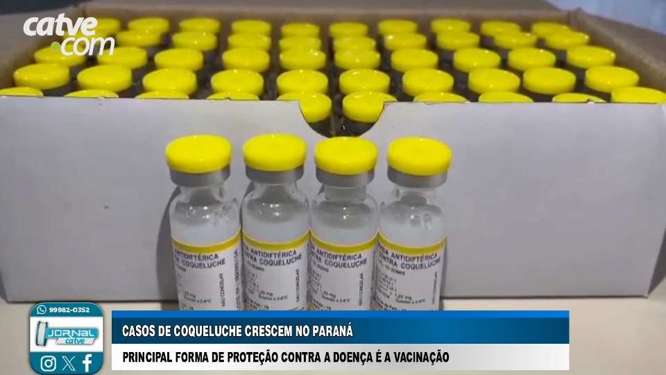 Imagem da Galeria