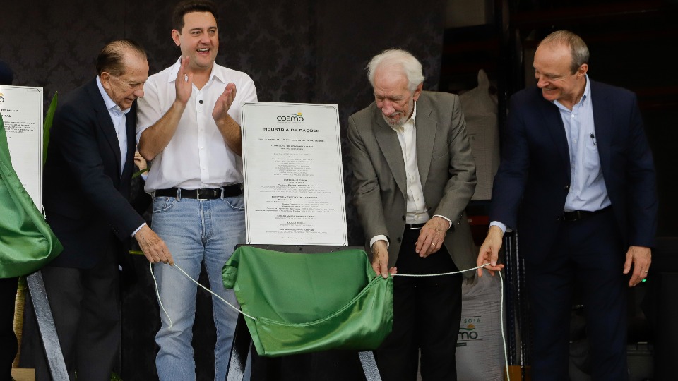 Notícia Relacionada