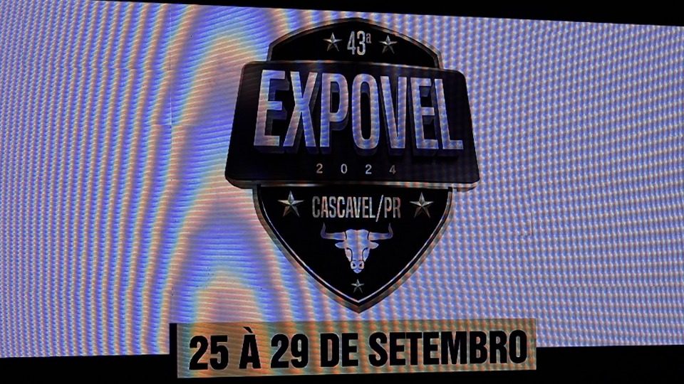 Imagem da Galeria