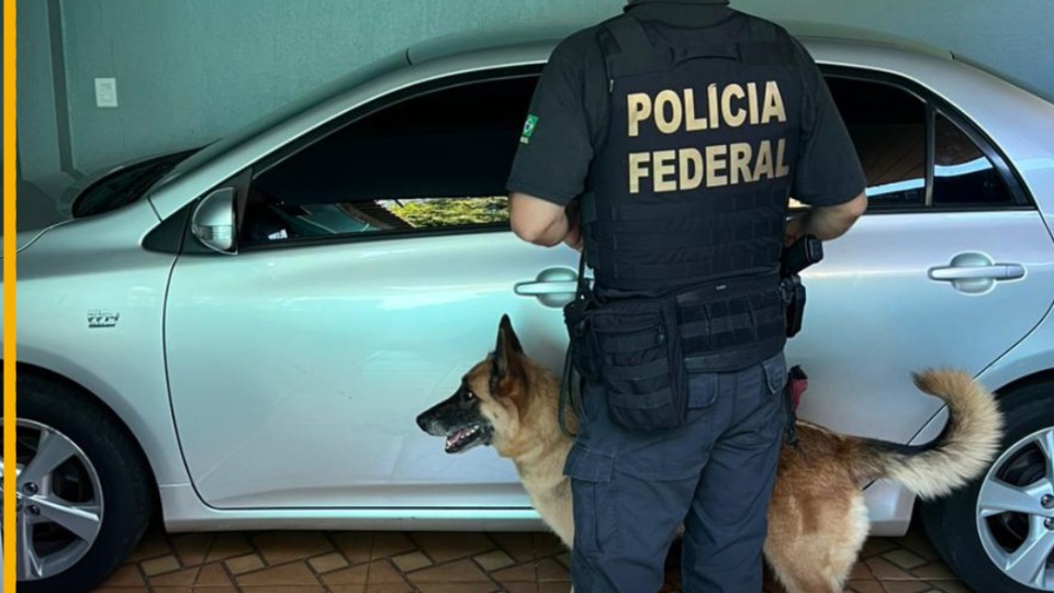 Imagem da Galeria