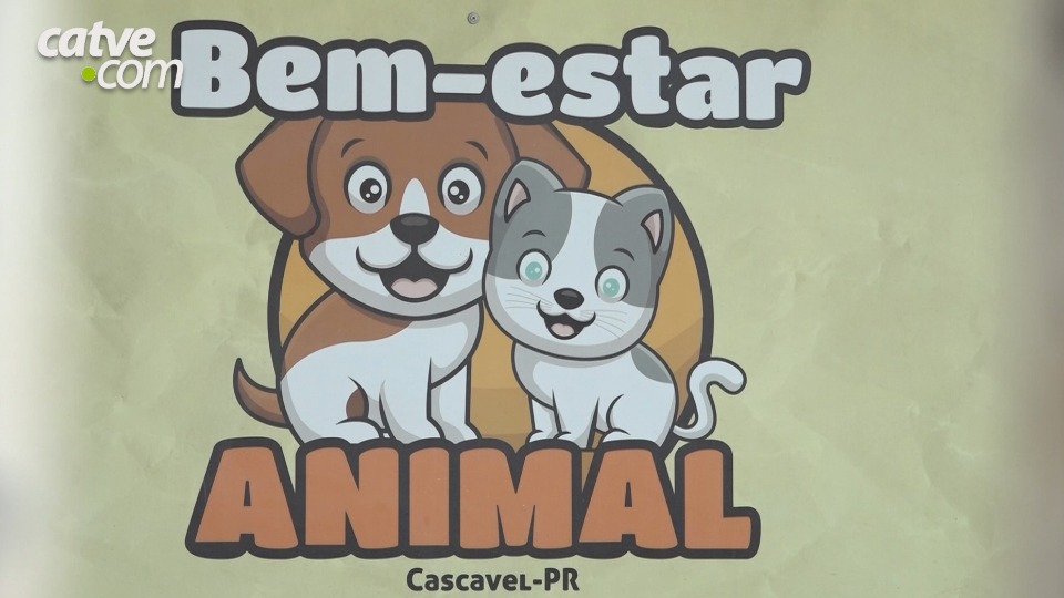 Imagem da Galeria