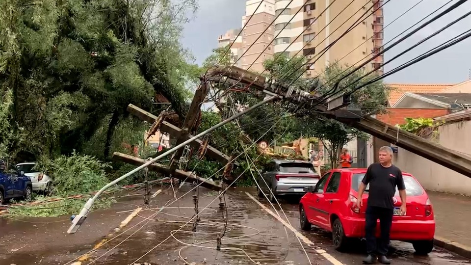 Notícia Relacionada