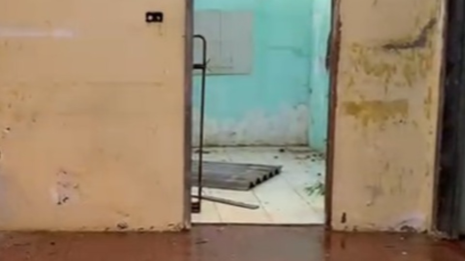 Imagem da Galeria