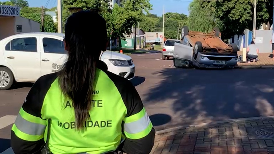 Imagem da Galeria