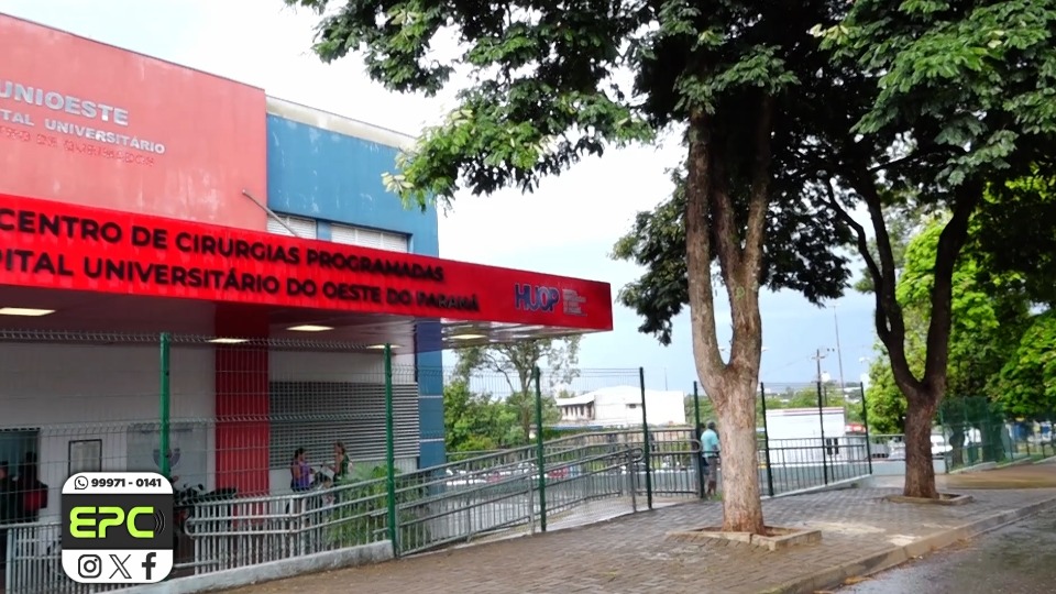 Imagem da Galeria