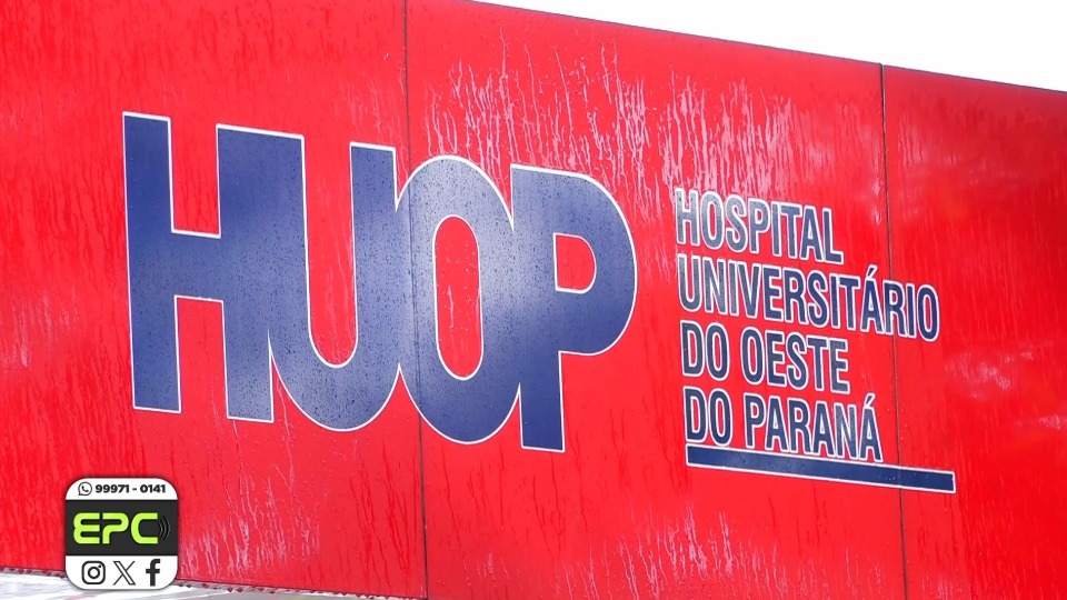Imagem da Galeria