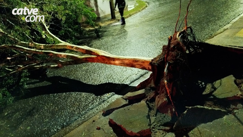 Imagem da Galeria