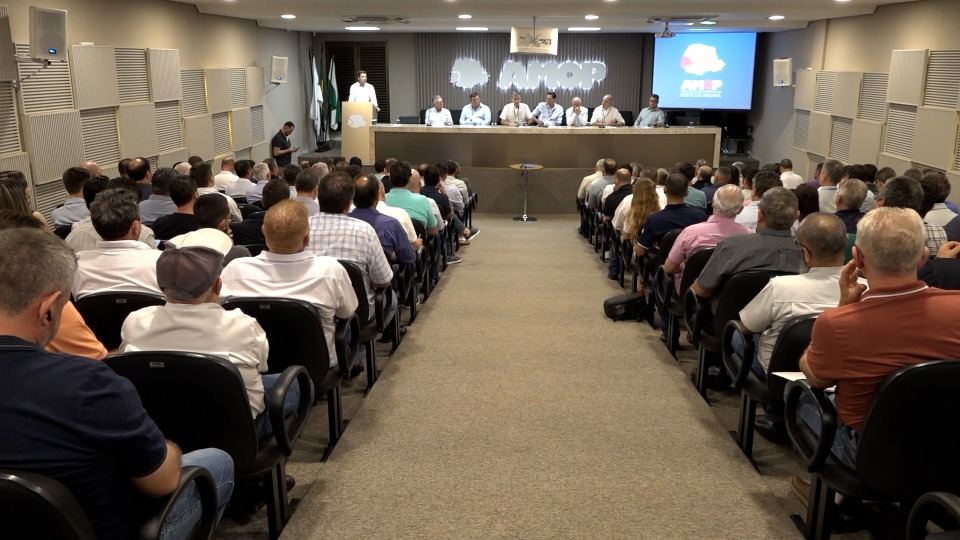 Notícia Relacionada