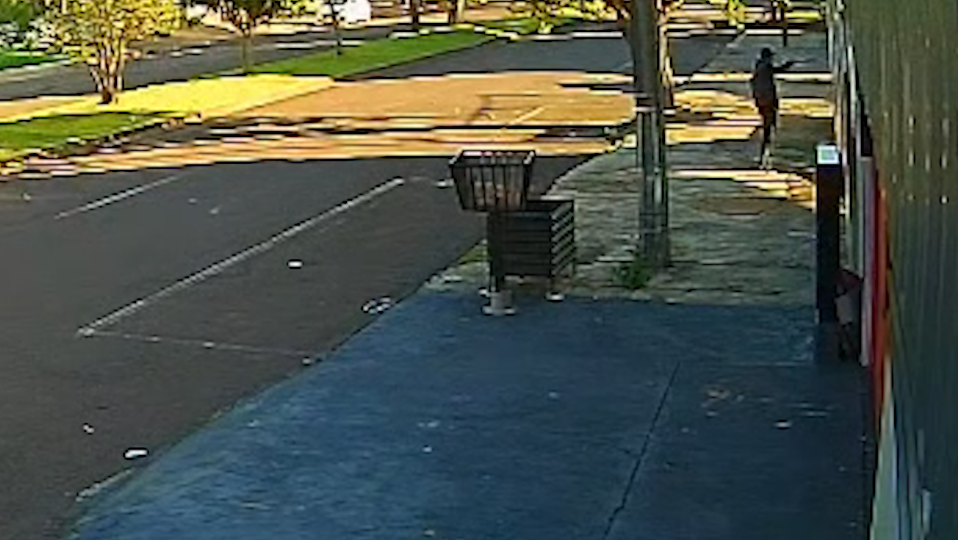 Imagem Últimas Notícias