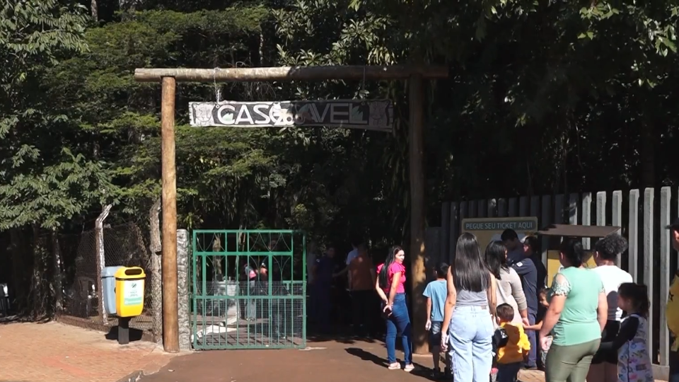 Imagem Últimas Notícias