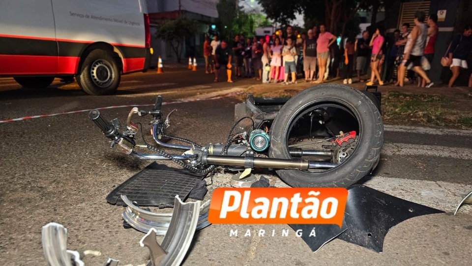 Imagem da Galeria