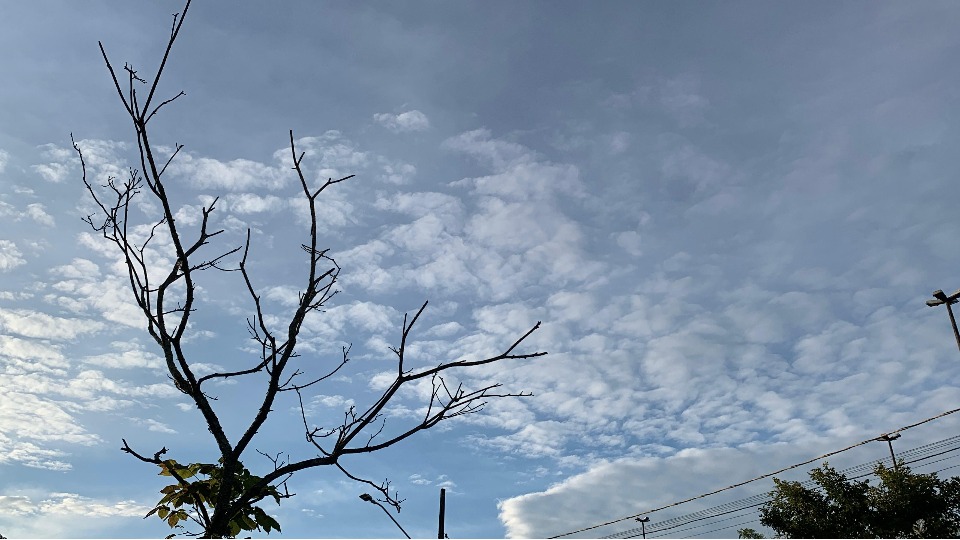 Imagem Últimas Notícias