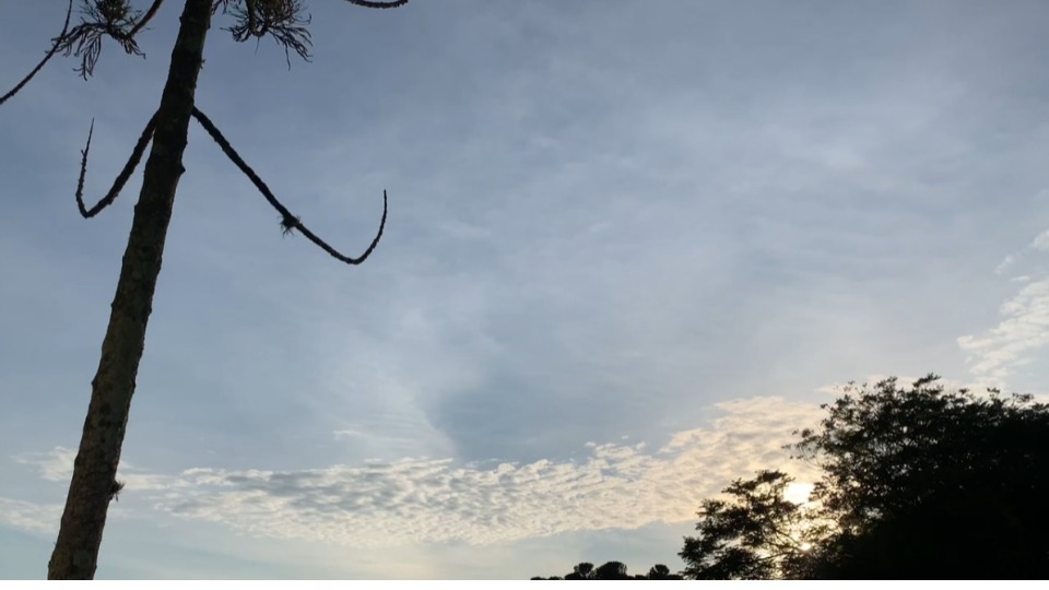 Imagem Últimas Notícias