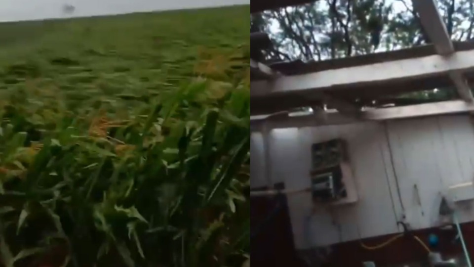 Imagem Últimas Notícias