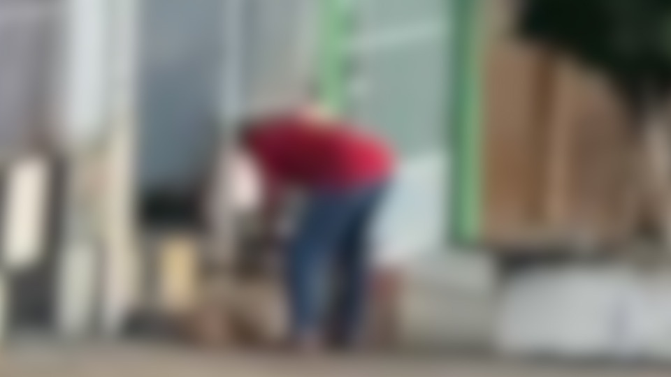 Imagem Últimas Notícias