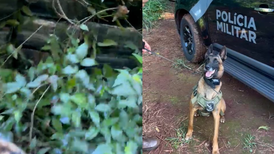 Imagem Últimas Notícias