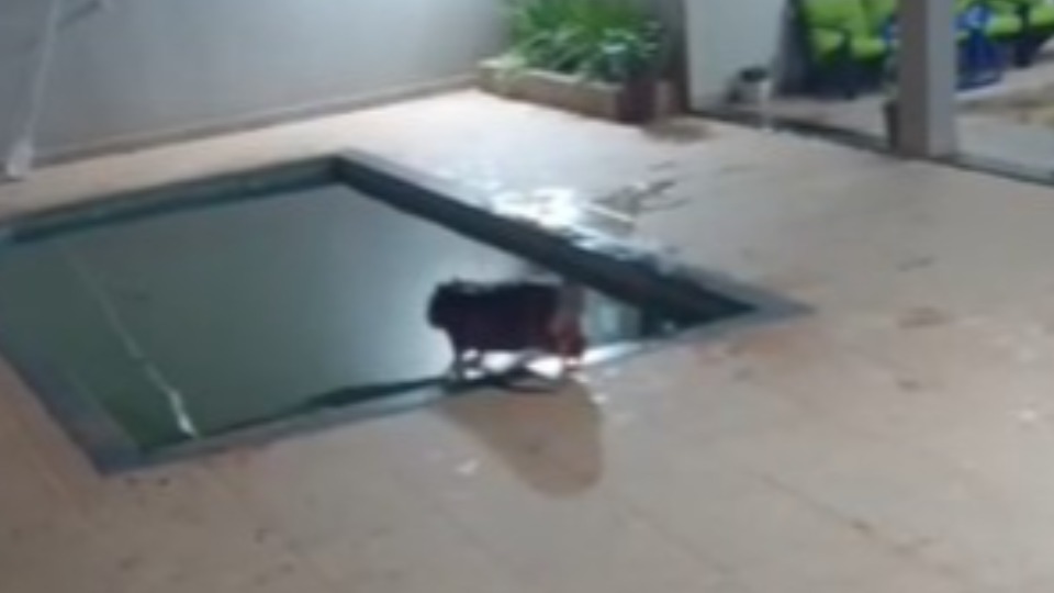 Imagem Últimas Notícias