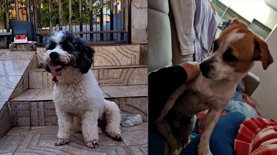 Imagem Últimas Notícias