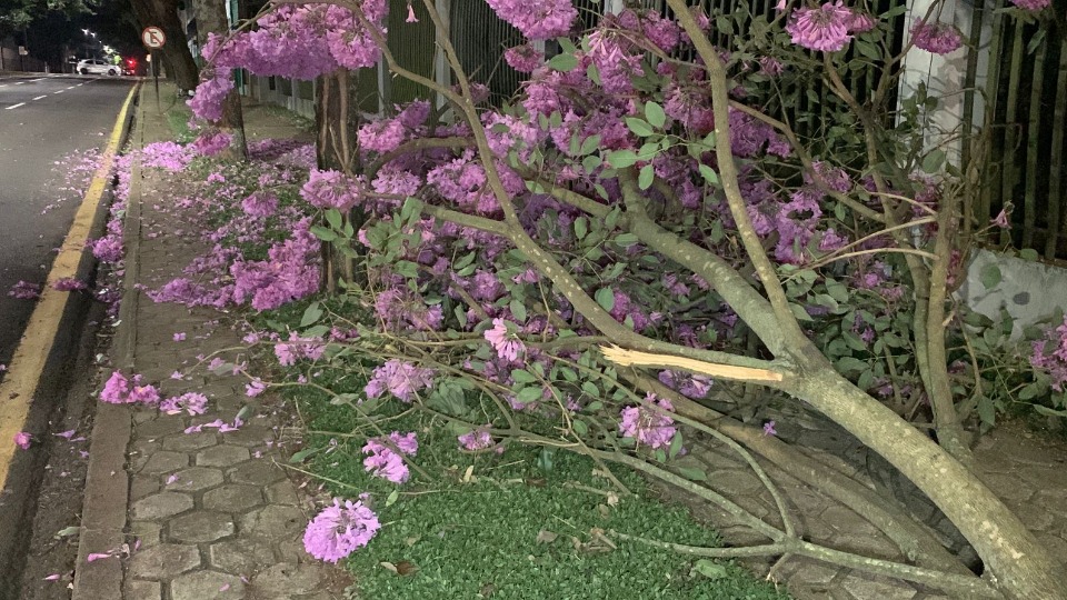 Imagem Últimas Notícias