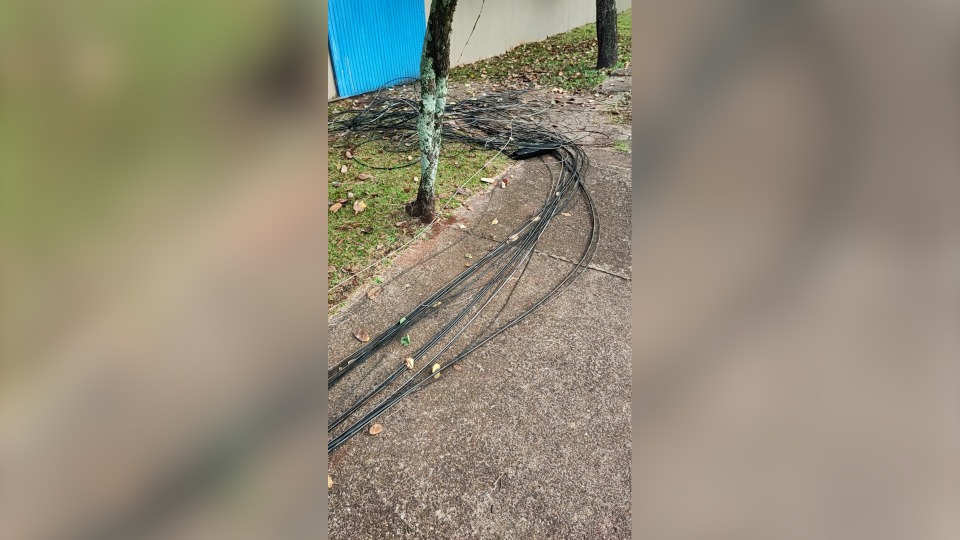 Imagem Últimas Notícias