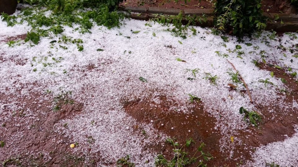 Imagem Últimas Notícias
