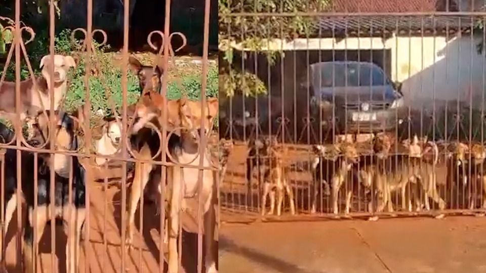 Imagem Últimas Notícias