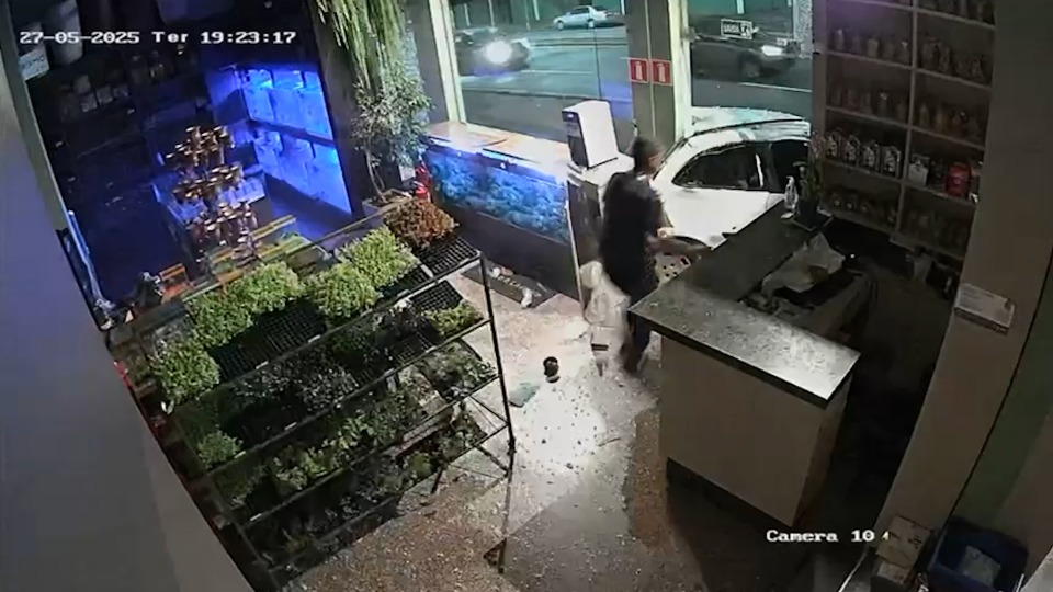 Notícia Relacionada