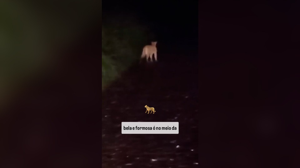 Notícia Relacionada