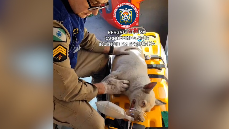 Imagem Últimas Notícias