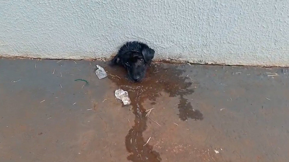 Imagem Últimas Notícias