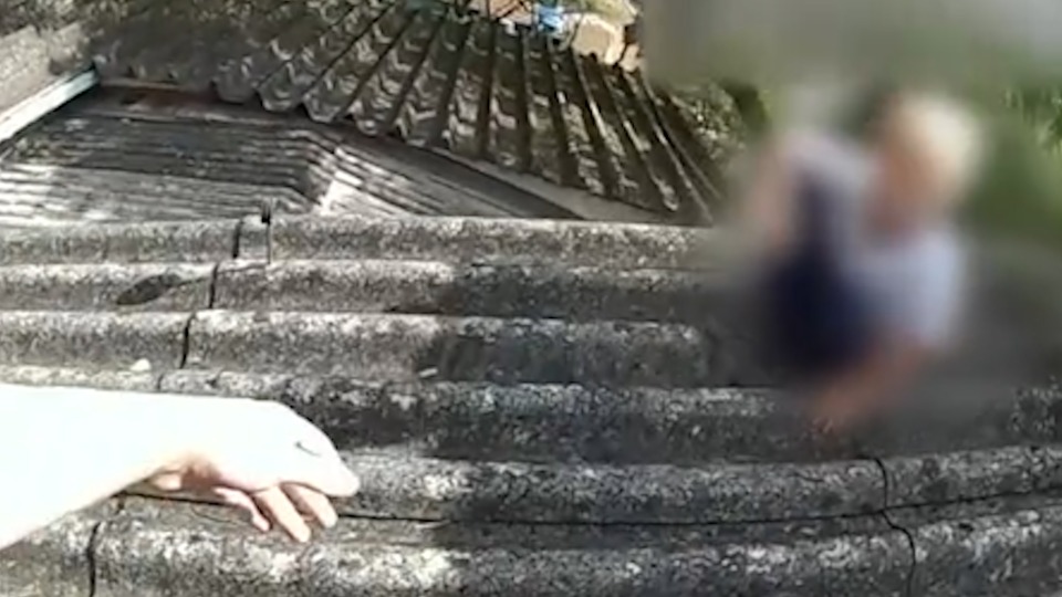 Imagem Últimas Notícias