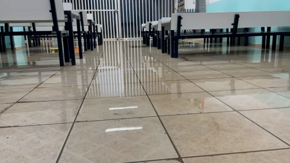 Notícia Relacionada