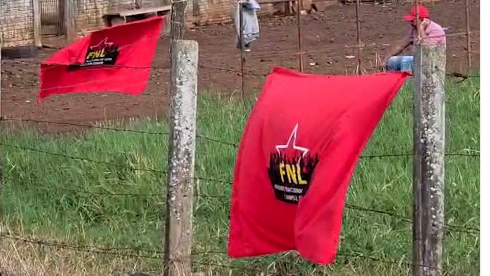 Imagem Últimas Notícias