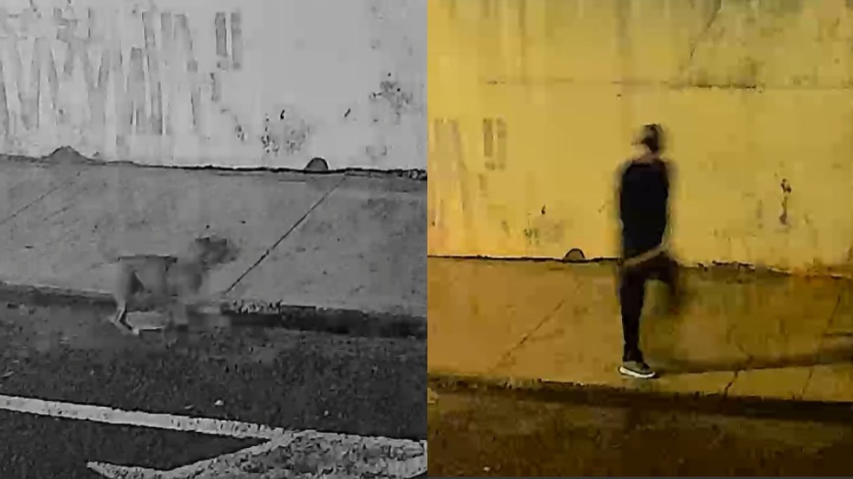 Imagem Últimas Notícias