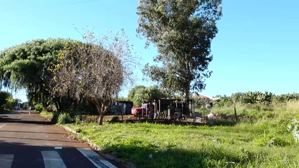 Imagem Últimas Notícias