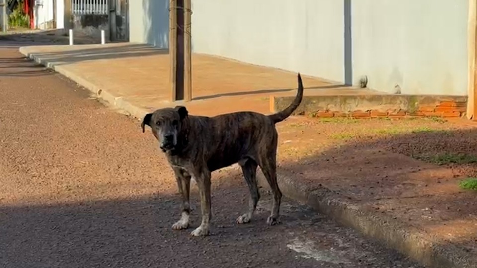 Imagem Últimas Notícias
