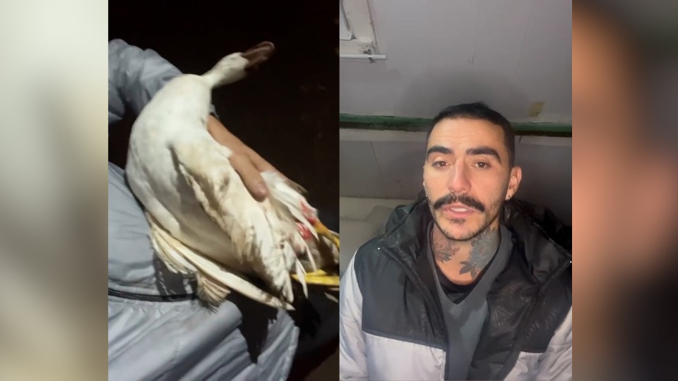 Imagem Últimas Notícias